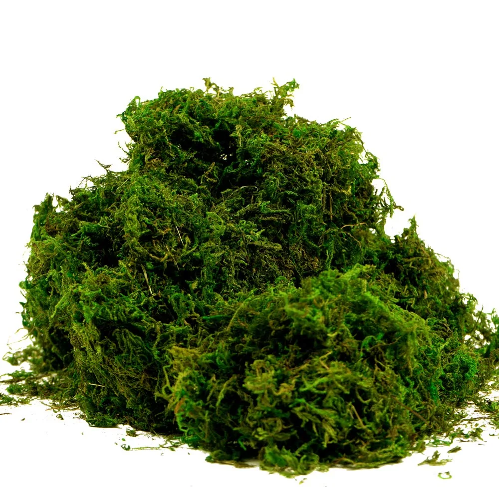 طحلب زينة أخضر (موس صناعي) 100 جرام Bukela لتغطية أصص النباتات والتيراريوم والسنترات