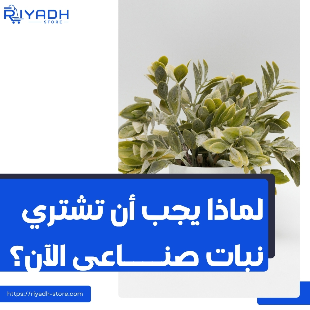اشتري نبات صناعي الآن بأفضل سعر في السعودية ٢٠٢٦